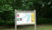 Trail Walking Louviers - 20250527-foret de bord louviersbancs - Photo 1