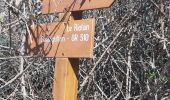 Trail Walking Sigale - trace cime de la cacia 30mars23 - Photo 2