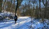 Tour Wandern Jemeppe-sur-Sambre - La petite boucle de Onoz - Photo 4
