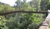 Trail On foot Montagut i Oix - Montagut-Ermita de la Devesa-Baumes de la Caxurma - Photo 6