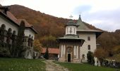 Tour Zu Fuß Călimănești - gara CFR Mănăstirea Turnu - Refugiul Turneanu - Cabana Cozia - Photo 7