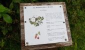 Tour Wandern Ventes-Saint-Rémy - Forêt d'Eawy rando douce - Photo 6