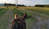 Tocht Paardrijden Fronton - Trec 2 finalisé - Photo 10