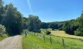 Tour Wandern Rochefort - Wavrielle  12-06-20 - Photo 4