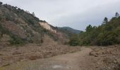 Trail Walking Fréjus - barrage de malpasset - Photo 6