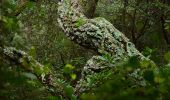 Tour Wandern Saint-Raphaël - Pk Gué de la Font du Pommier - Pont du Pigeonnier - Photo 6