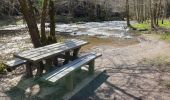 Tour Wandern Gedinne - Balade de Vencimont à Sart-Custine - Photo 1