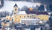 Excursión A pie Gemeinde Kirchberg am Wechsel - Spazierweg 5 - Photo 2