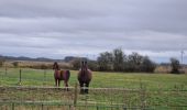 Tocht Stappen Seboncourt - forêt d'andigny - Photo 3