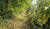 Tour Wandern Brières-les-Scellés - Brières-les-Scellés - Photo 3