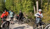 Percorso Mountainbike Fontainebleau - Fontainebleau  - Photo 9