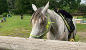 Trail Horseback riding Saverne - 1ere partie grotte de saint vit  - Photo 2