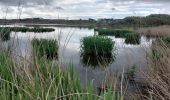 Trail Walking Guidel - PR_56_Guidel_CA_03_Autour-De-L-Etang-De-Lannenec_Circuit3a_20240428 - Photo 1
