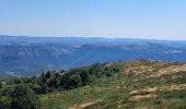 Tour Wandern Aumessas - Lac de Pises au départ Le Travers - Photo 4