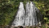 Trail Walking Vagney - La cascade du Pissoire - Photo 2