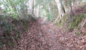 Trail Walking Saint-Pierre-de-Cormeilles - St Pierre de Cormeille - Photo 6