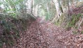 Tocht Stappen Saint-Pierre-de-Cormeilles - St Pierre de Cormeille - Photo 6