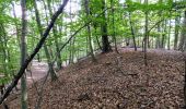 Tour Zu Fuß Tieschen - Naturbühne - Steinbruchweg - Photo 8