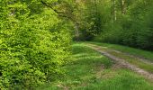 Tocht Elektrische fiets Saint-Clément - sortie vtt 29042024 - Photo 5