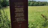 Trail Walking Hoeselt -  Sint-Huibrechts-Hern - Photo 13