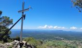 Tocht Stappen Aups - reco Aups montagne espiguieres  - Photo 9