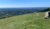 Trail Mountain bike Saint-Augustin - Corrèze Les monedieres 2023  - Photo 1