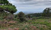 Trail Walking Narbonne - La combe d'enfer en Narbonnais  - Photo 1