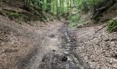 Trail Walking Genappe - en passant par le bois ballon et les vignes du château de Bousval. - Photo 5