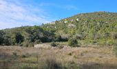 Tour Wandern Méounes-lès-Montrieux - Gouffre de Signoret - Méounes - Photo 2