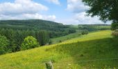 Trail Walking Vresse-sur-Semois - Allesur Semois 020625 - Photo 6