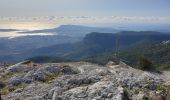 Excursión Senderismo Le Revest-les-Eaux - Le Mont Caume - Photo 4