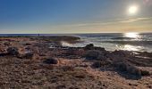 Trail Walking Martigues - Port de Carro - Sentier du littoral - Photo 1