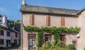 Tocht Te voet Conques-en-Rouergue - Sentier Conques - Grand-Vabre - Photo 3