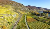 Tocht Te voet Gemeinde Dürnstein - Welterbesteig Wachau Etappe 2 - Photo 8