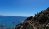 Tocht Stappen La Croix-Valmer - TOULON / CAVALAIRE SUR MER: CIRCUIT DE GIGARO - Photo 8