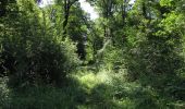 Excursión Senderismo Lacroix-Saint-Ouen - en forêt de Compiègne_35_la Croix Saint-Sauveur_le Ru du Goderu - Photo 4