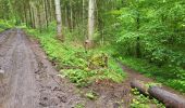 Trail Walking Gedinne - Vencimont 050624 - Photo 4