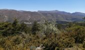 Randonnée Marche Moustiers-Sainte-Marie - Le col plein voir et la crête  - Photo 2