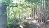 Trail Walking Malmedy - mdy . belle vue . arimont . boussire . g'doumont . chôdes . mdy  - Photo 13