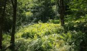 Trail On foot Kaprun - Klamm-Lauf - Photo 1