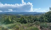 Tocht Stappen Bort-les-Orgues - Chute de la Saule - Photo 5