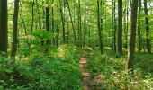 Tocht Stappen Nijvel - Balade à Monstreux - Nivelles - Photo 13