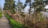 Trail Walking Fontenay-aux-Roses - Panorama  - Photo 2