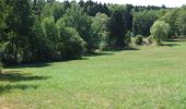 Tocht Te voet Butzbach - Waldlehrpfad Münster - Ahornblatt - Photo 3