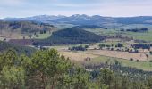 Randonnée Marche Aydat - Puy de Vichatel - Photo 13