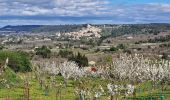 Excursión Senderismo Lacoste - Massif des Cèdres via Lacoste - Photo 1