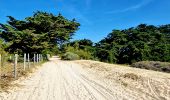 Tour Wandern Noirmoutier-en-l'Île - Jeun et rando J4 Balade à travers les marais depuis le gite - Photo 1