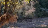 Randonnée Marche La Môle - La Mole - Barrage de la Verne  - Photo 6