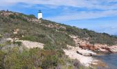 Trail Walking Saint-Florent - st Florent phare de Motella et plage Lotu - Photo 4