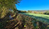 Excursión Senderismo Stoumont - A la découverte du ruisseau du Roannay et le village de Moulin du Ruy - Photo 16